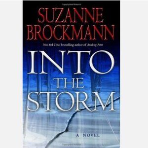 5/$12 Book Into the Storm Brockmann Troubleshooters Series 10 Military Romance